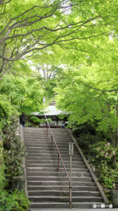 新緑の長谷寺