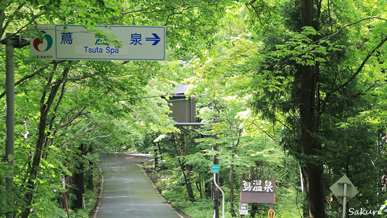 新緑の蔦温泉