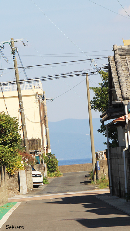 路地から見える錦江湾