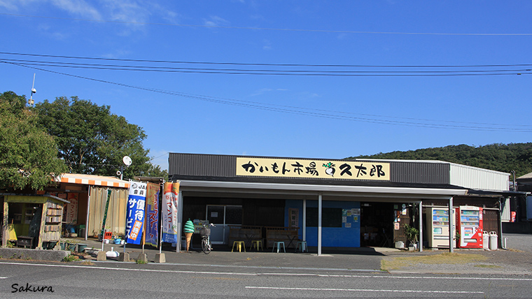 かいもん市場